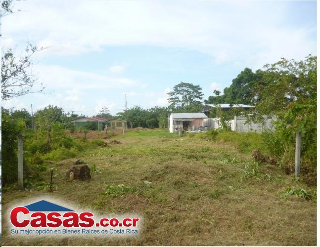 Bienes raices costa rica limon